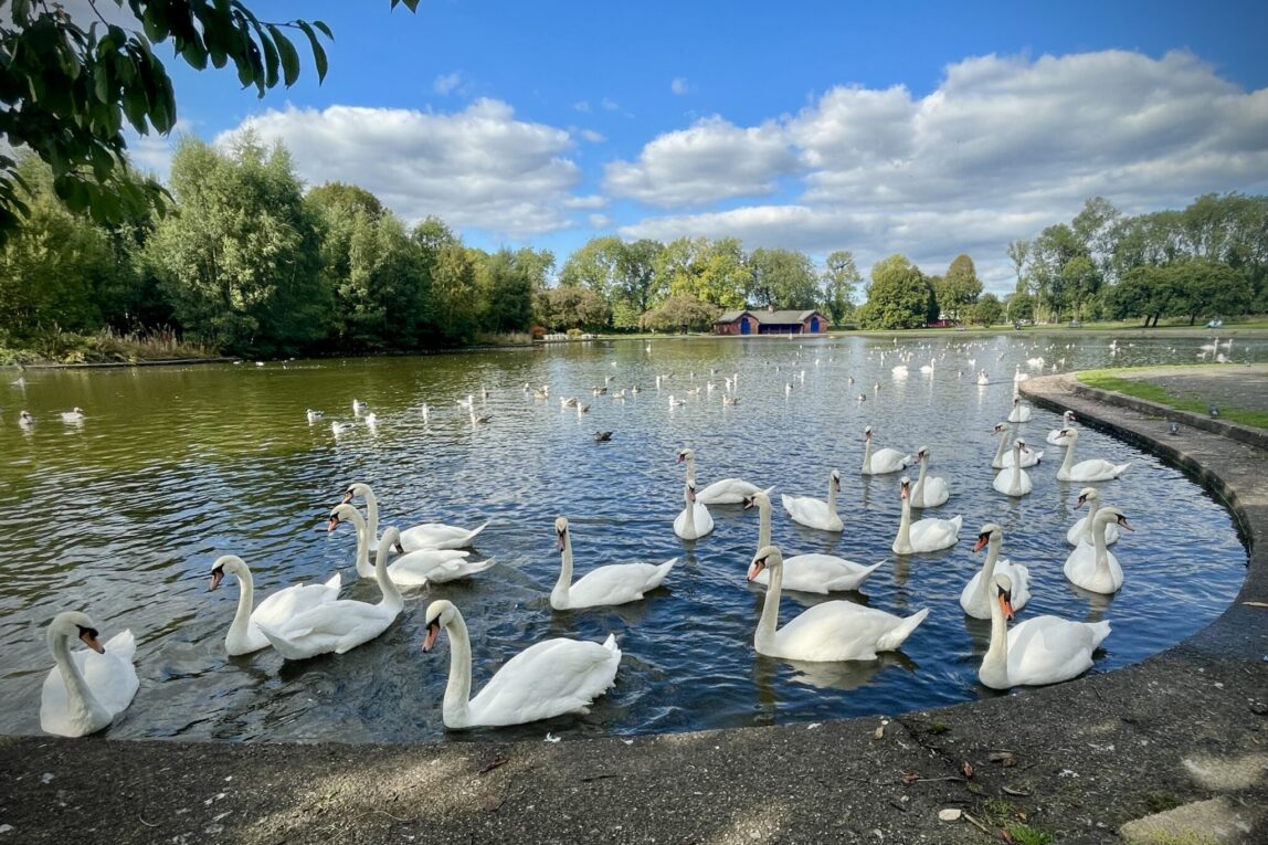 Richmond Park, Oatlands